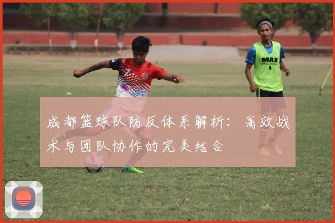 成都篮球队防反体系解析：高效战术与团队协作的完美结合