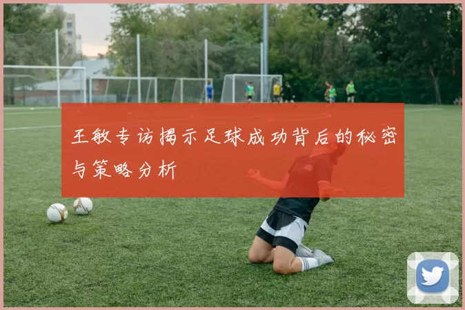 王敏专访揭示足球成功背后的秘密与策略分析