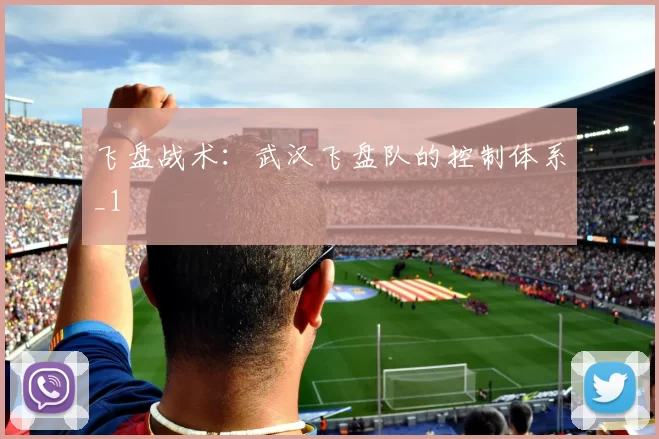 飞盘战术：武汉飞盘队的控制体系_1