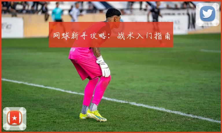 网球新手攻略：战术入门指南