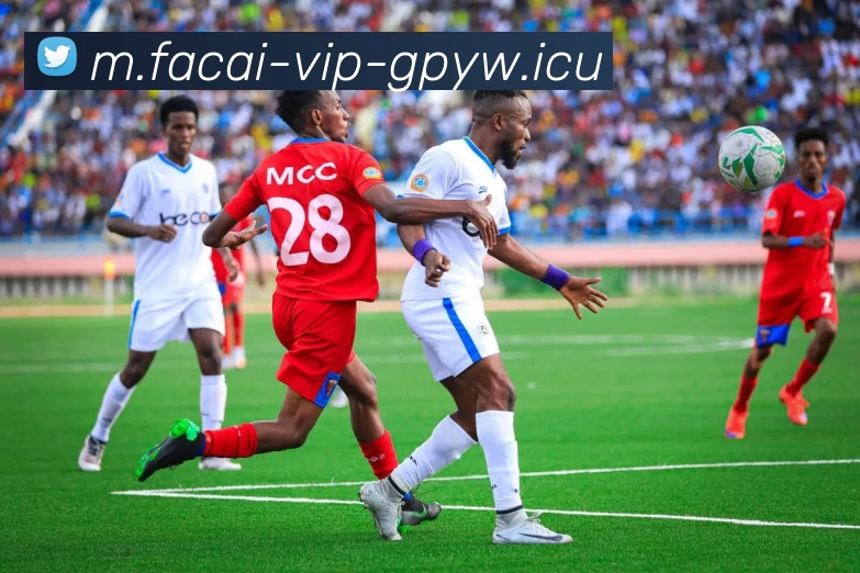 乐鱼体育品牌故事