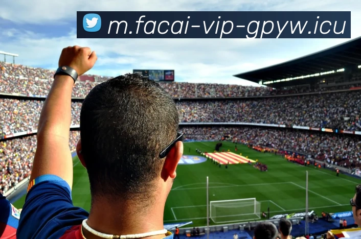 乐鱼体育服务体系